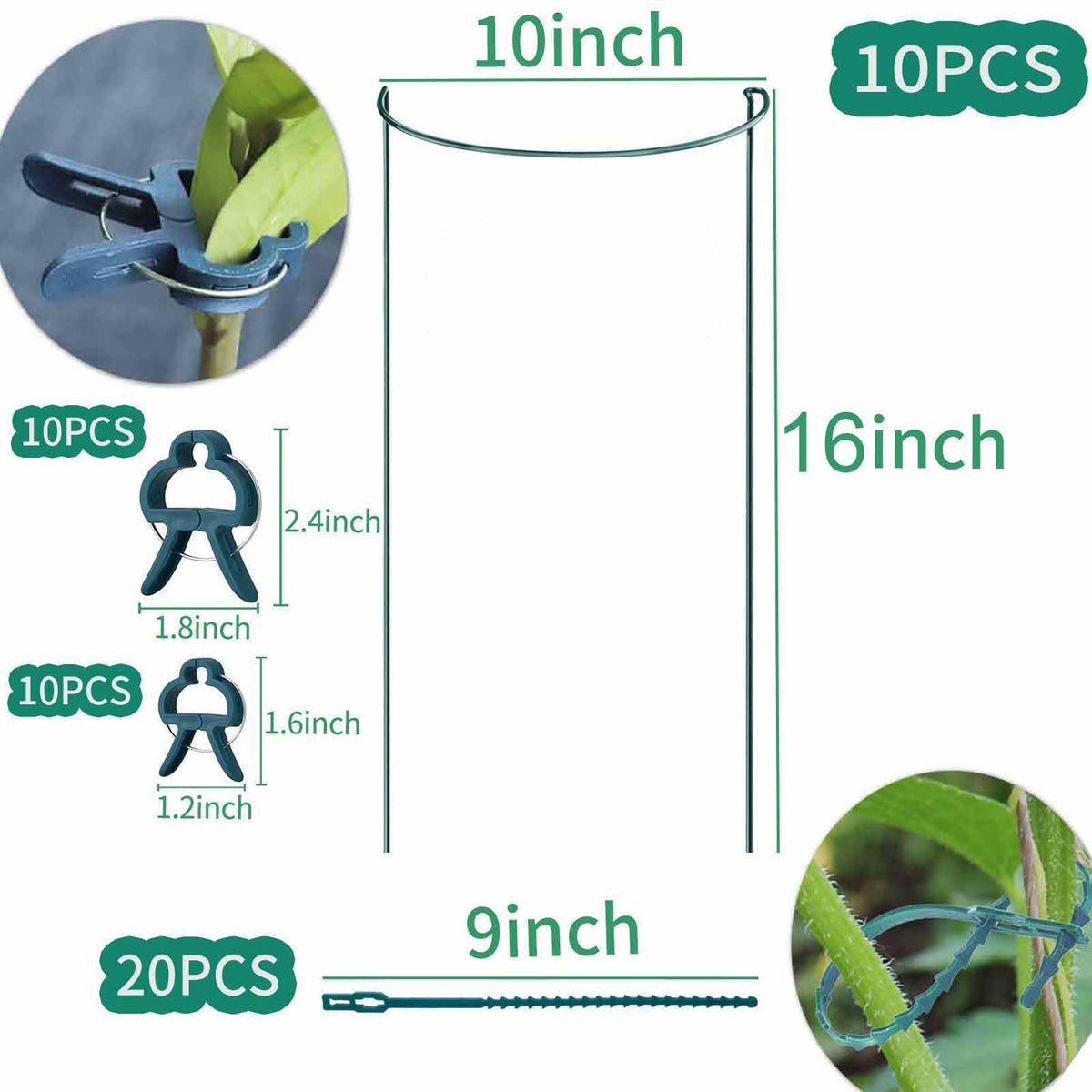 TCBWFY plant support stakes 10x16 in action for tall plants