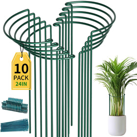 TCBWFY plant support stakes in a 10-pack provide sturdy peony cages for upright blooms.
