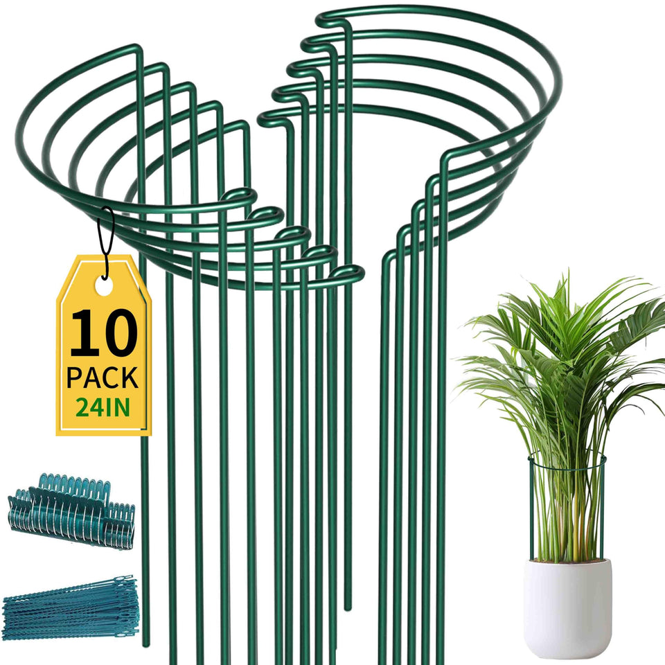 TCBWFY plant support stakes in a 10-pack provide sturdy peony cages for upright blooms.