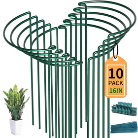 TCBWFY plant support stakes keep roses upright and tidy