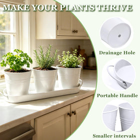 TCBWFY removable drip tray for easy relocation of plants around office or balcony