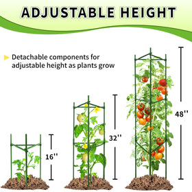 TCBWFY tomato cage for pots keeps vines upright in small spaces