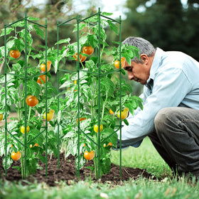 TCBWFY rust-resistant coating extends life of outdoor tomato cages