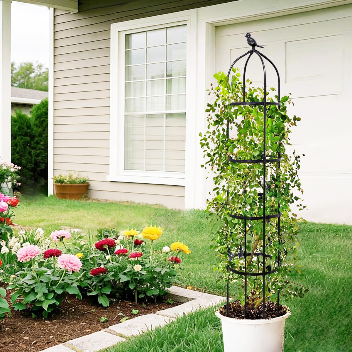 TCBWFY compatible with roses, tomatoes, clematis, and other climbers.
