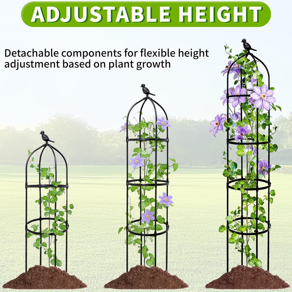 TCBWFY ideal for small spaces, boosting upward growth and privacy.