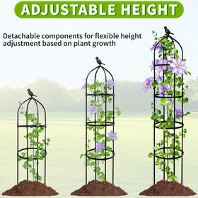 TCBWFY ideal for small spaces, boosting upward growth and privacy.