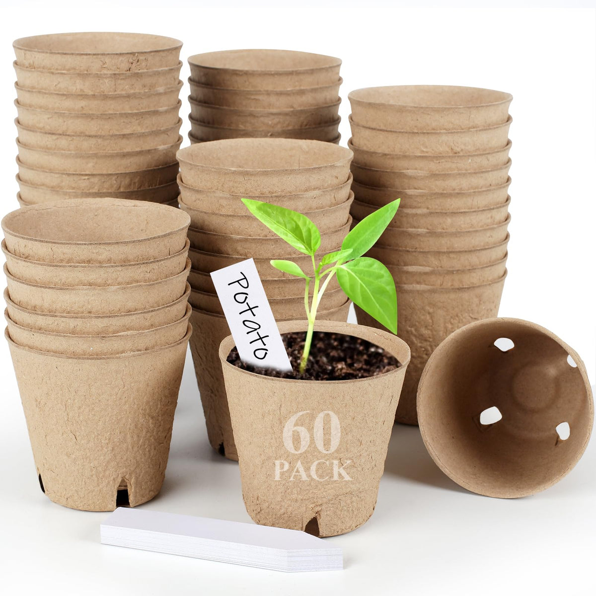 Tcelurd 4-inch peat pot with drainage holes for healthy seedling growth.