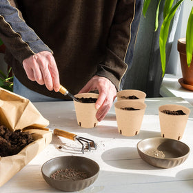 Tcelurd includes 60 plant labels for organized seedling tracking.