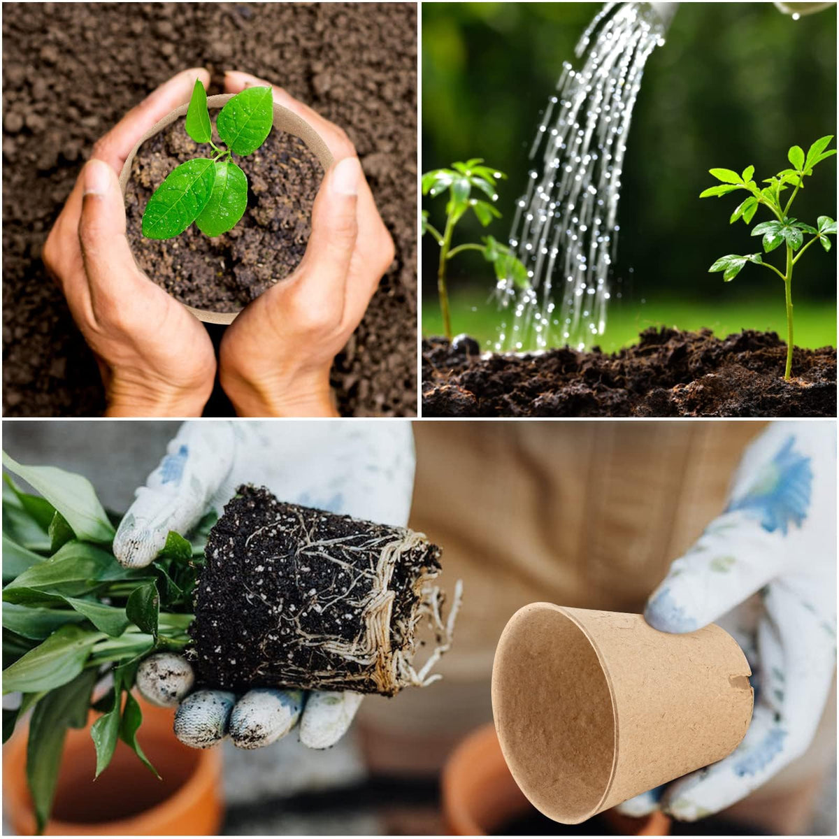 Tcelurd breathable peat material supports healthy root development.