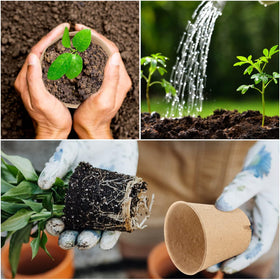 Tcelurd breathable peat material supports healthy root development.
