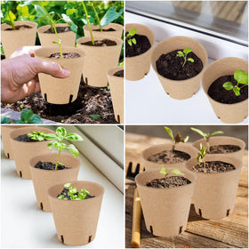 Tcelurd 4-inch pots suit flowers, vegetables, and herbs for versatile gardening.