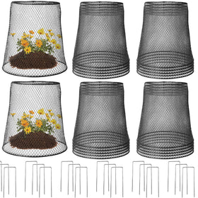 Tcevily 12-pack chicken wire cloche protects a plant with a 14x14 footprint