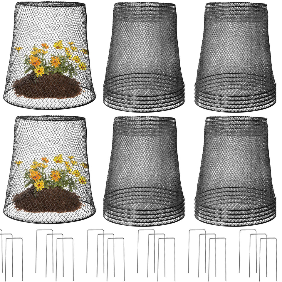 Tcevily 12-pack chicken wire cloche protects a plant with a 14x14 footprint