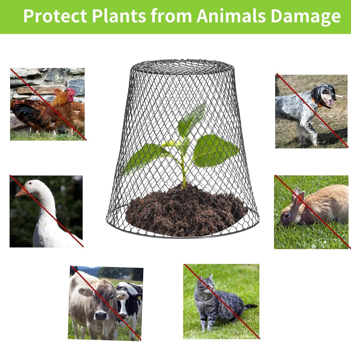 Tcevily black garden protector cage surrounds plants for year-round protection.