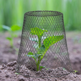 Tcevily black wire mesh offers sturdy, durable garden protection.