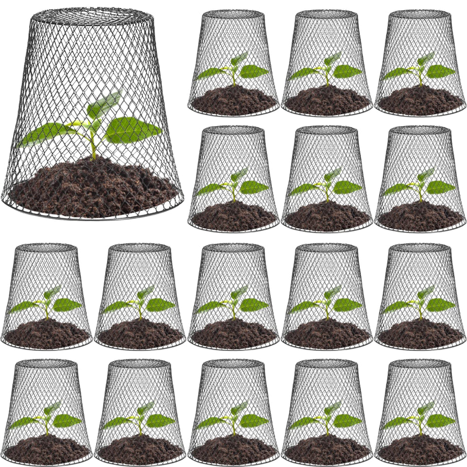Tcevily chicken wire cloche cage protecting crops for healthier growth.
