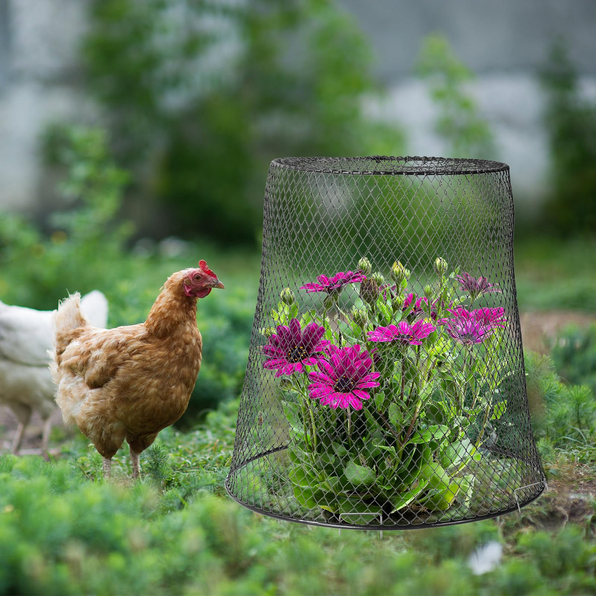 Tcevily durable metal mesh guard shielding rows of crops