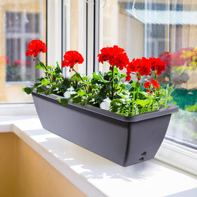 Tcevily easy-clean window box planter ready for quick maintenance.