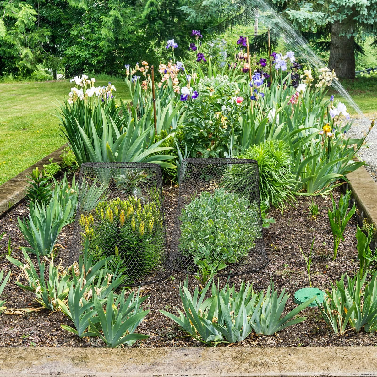 Tcevily easy-install around plants enables quick setup.
