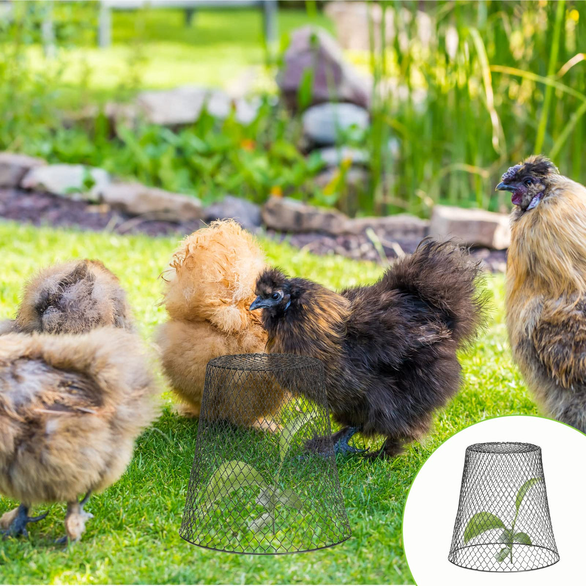 Tcevily easy installation helps you protect plants efficiently.