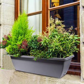 Tcevily outdoor window box planters on a sunny sill for flowers and herbs.