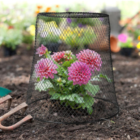 Tcevily protects vegetables, fruits, and seedlings for healthier growth.