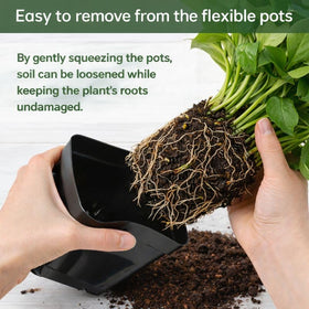 Tchrules seed starting pot with drainage holes for healthy roots.