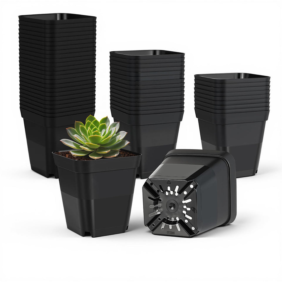 Tchrules thickened black 4-inch nursery pot ready for reuse.