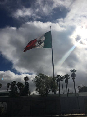 TCTOHZNG 2-pack Mexico flag indoors setup for ceremonies or offices.
