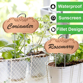 TCYPUHL gold plant labels in a garden row showcasing readability