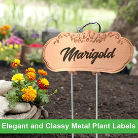 Tall stake TCYPUHL gold label designed for clear garden readability