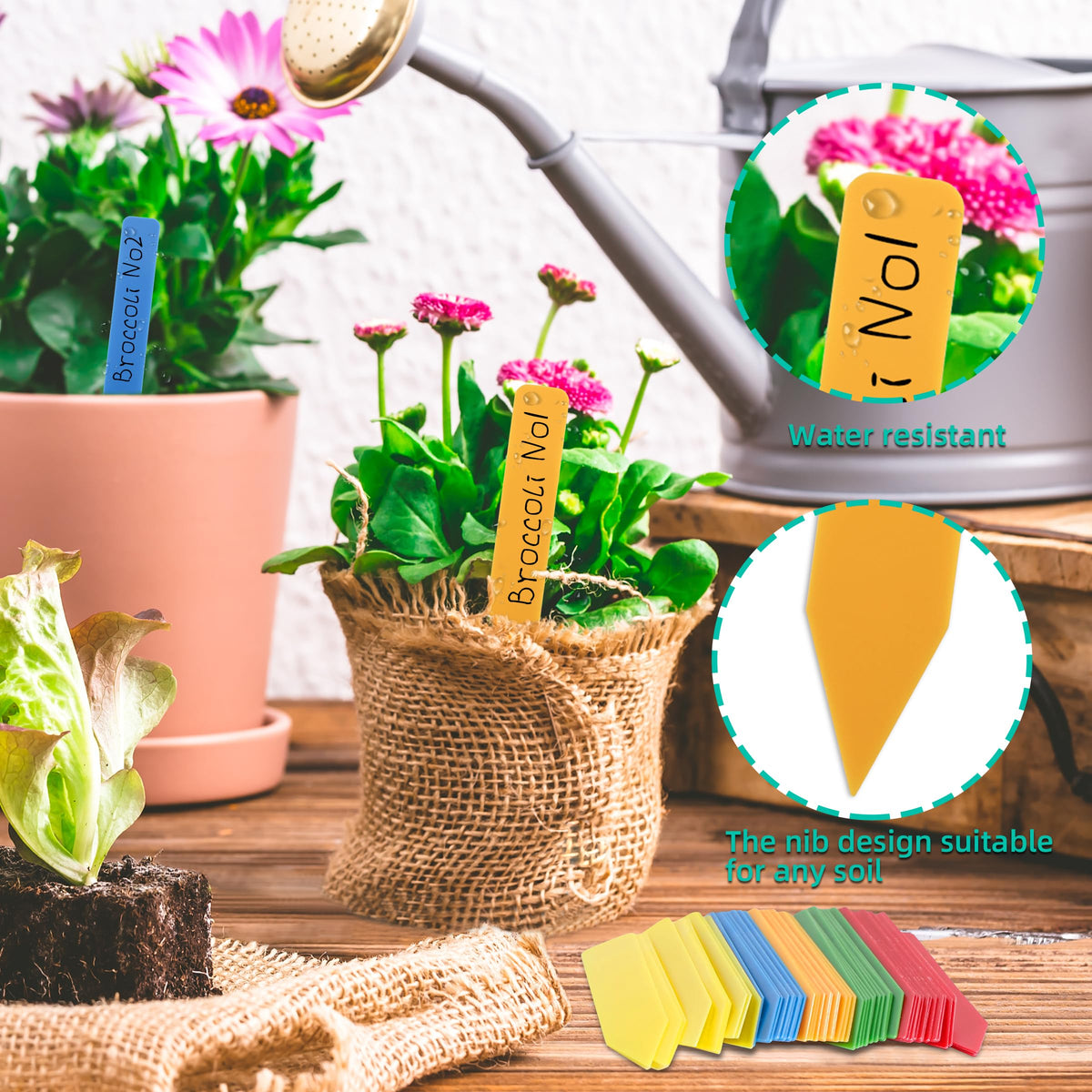 Waterproof plastic tags withstand rain and sun for outdoor gardens by TDHDIKE.