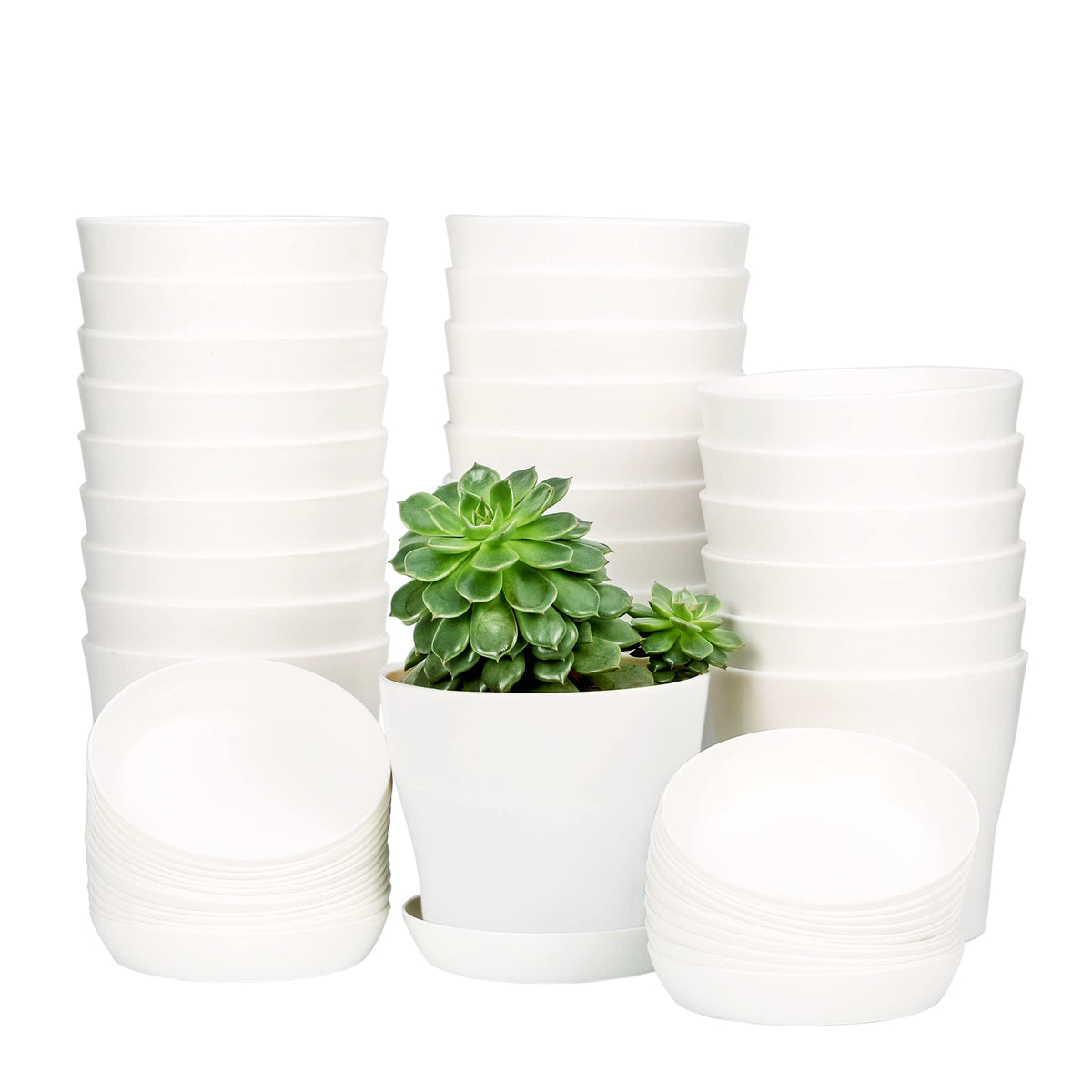 TDHDIKE 10-pack plastic planters with pallet in White25 for indoor gardening