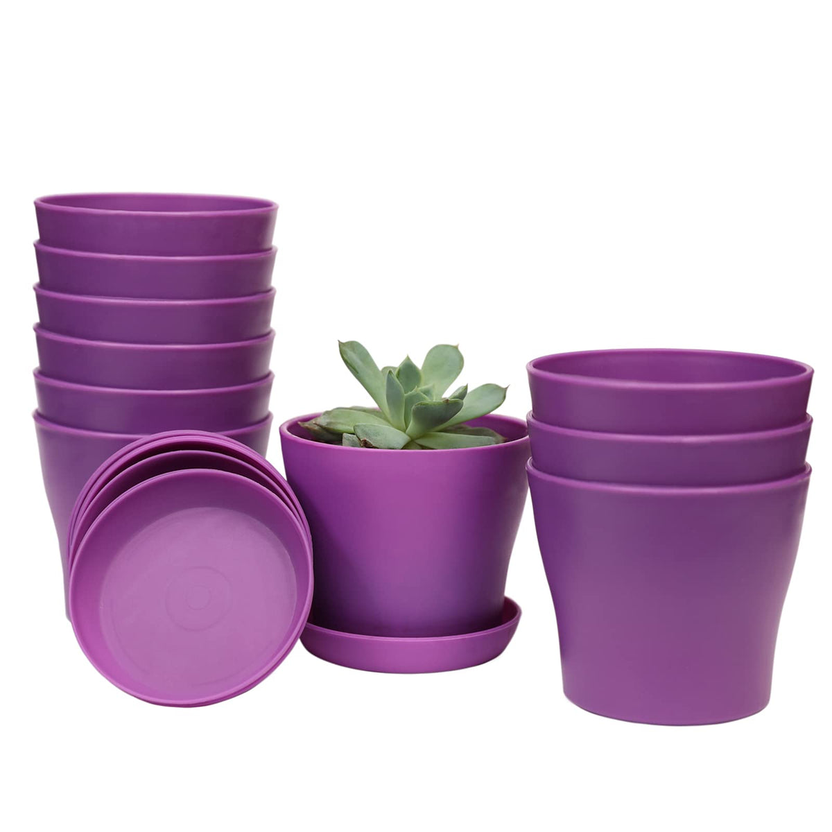 TDHDIKE 10-pack purple plastic planters with pallet for neat indoor displays