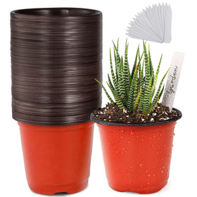 TDHDIKE 4-inch planter pot set for seed starters, ideal for succulents and cuttings.