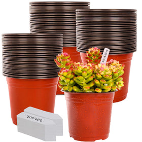 TDHDIKE 6-inch plastic pot top view with ample planting space for seedlings.