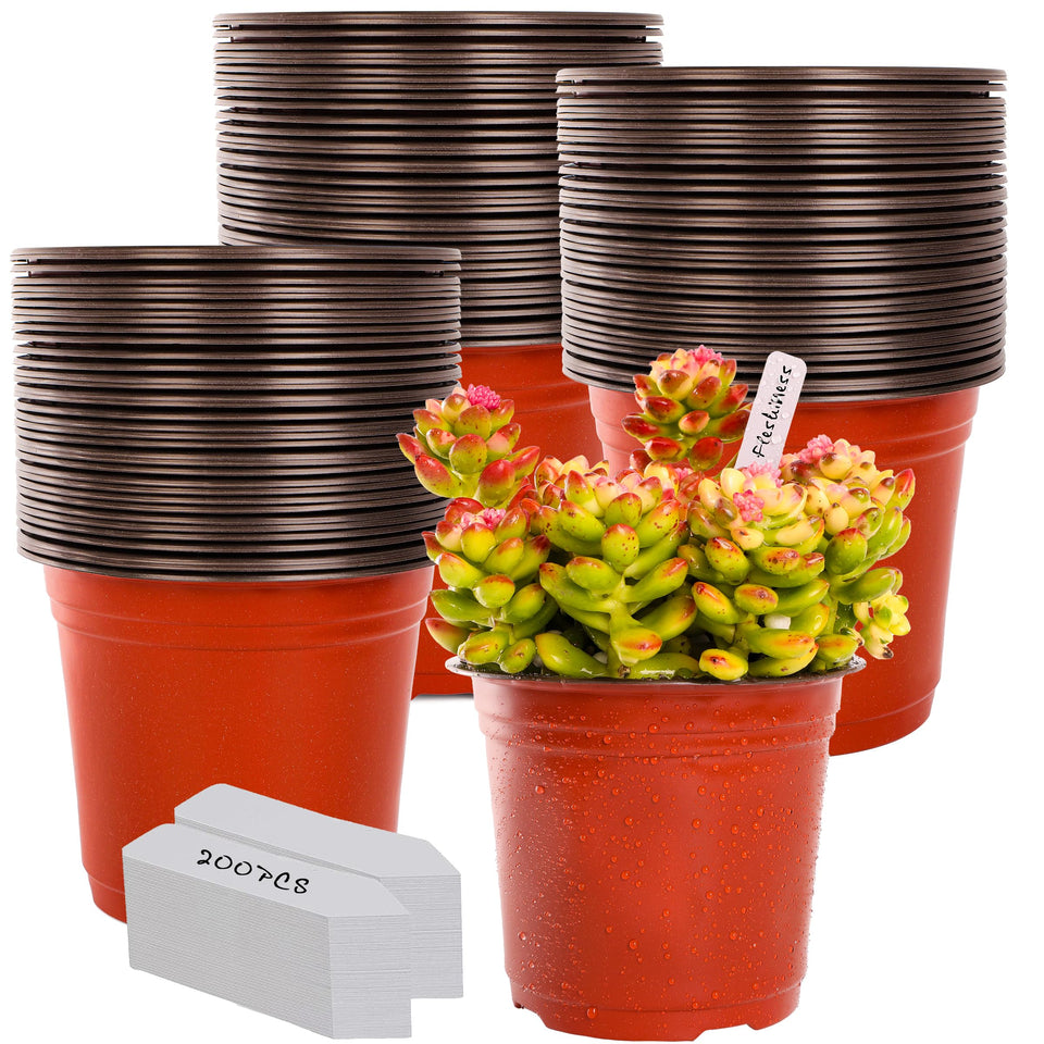 TDHDIKE 6-inch plastic pot top view with ample planting space for seedlings.