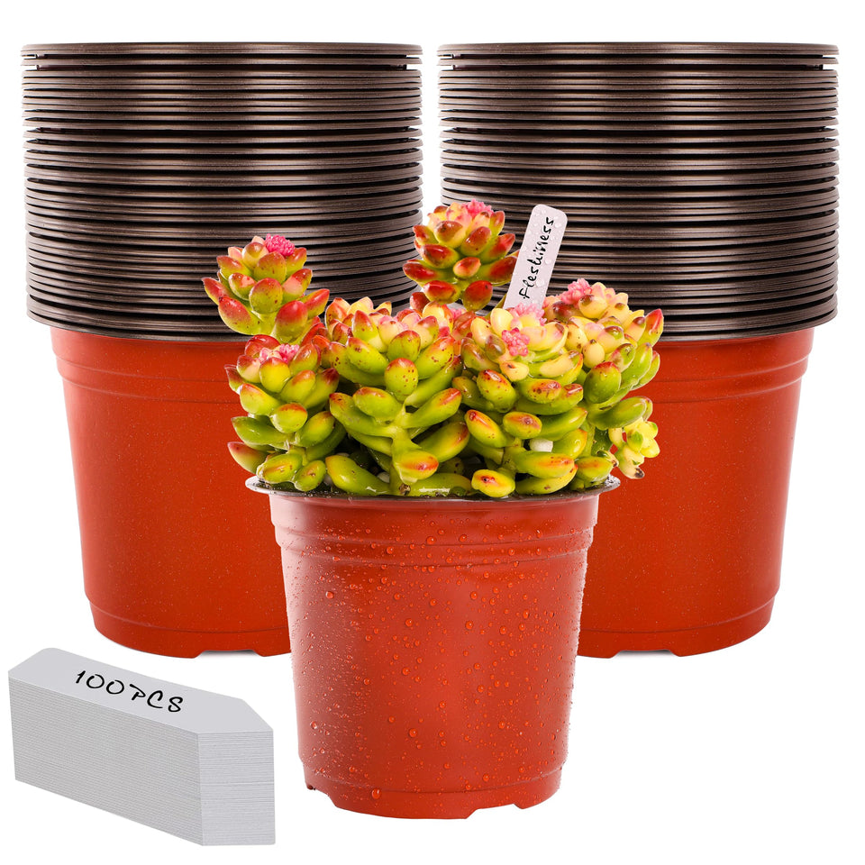 TDHDIKE 6-inch seed starter pots with labels for easy seedling tracking.