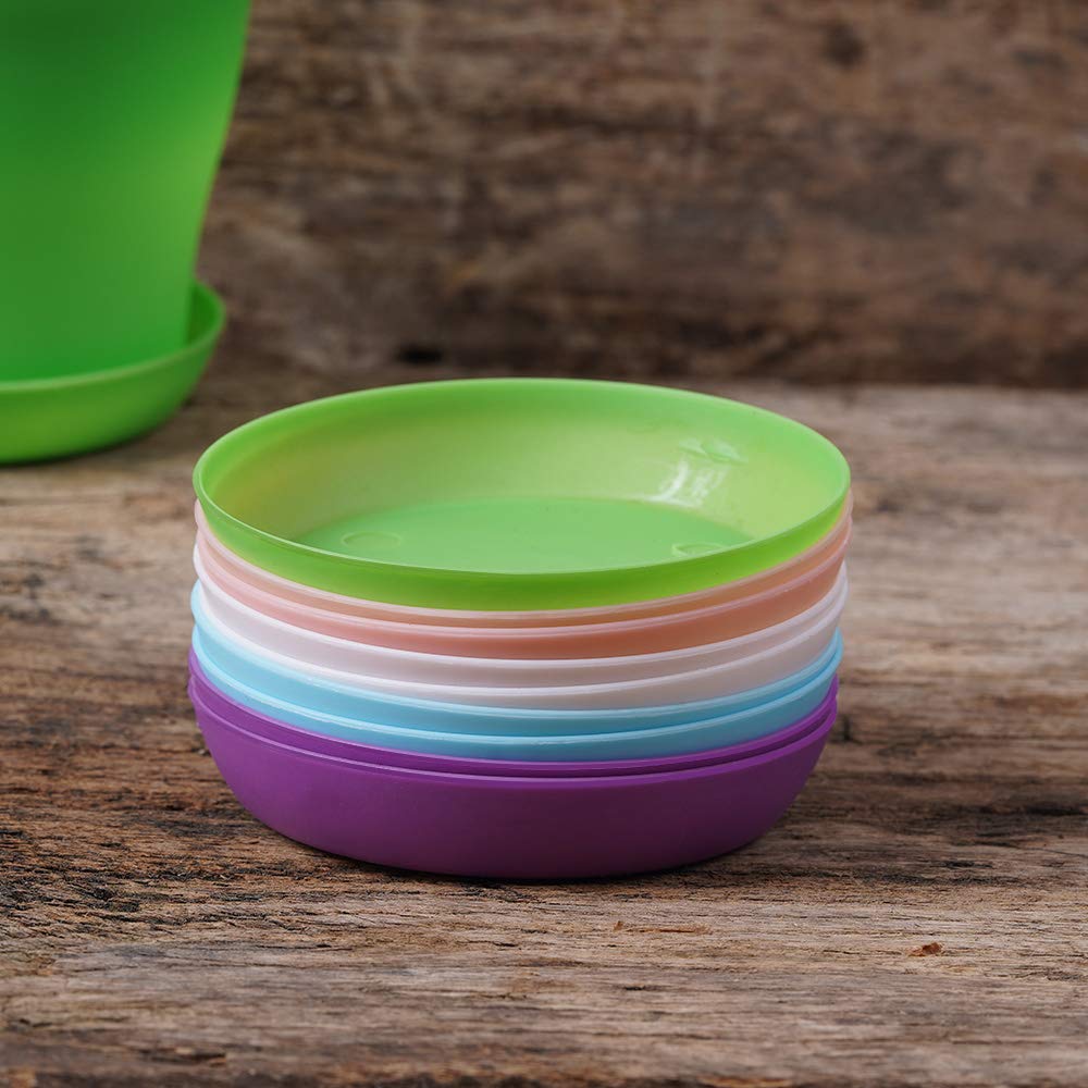 TDHDIKE five-color pack with two pots per color enhances display.