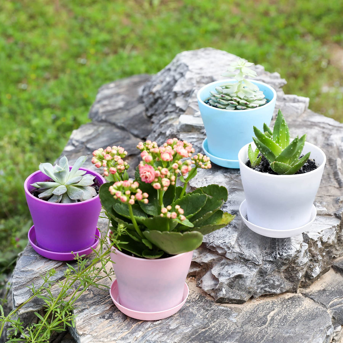 TDHDIKE colorfast lightweight PP planters for year-round use