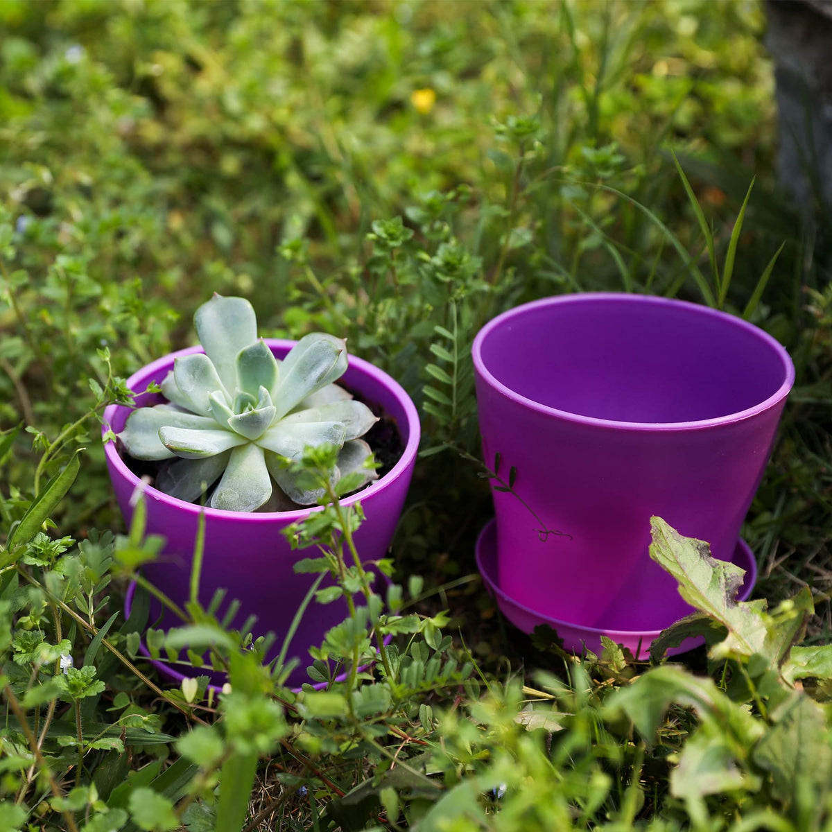 TDHDIKE drain-hole mini planter supports healthy soil drainage and roots