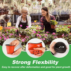 TDHDIKE durable PP material ensures lightweight, reusable pots for years.