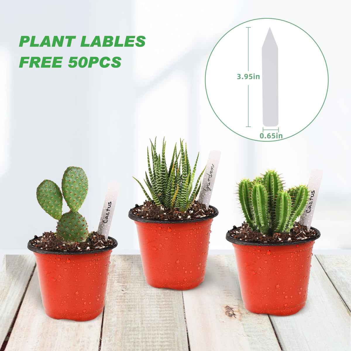 TDHDIKE versatile nursery pots for indoor and outdoor planting.