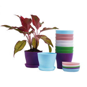 TDHDIKE indoor-outdoor use pots for seedlings and small plants.