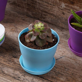 TDHDIKE modern decorative containers complement home or office decor.