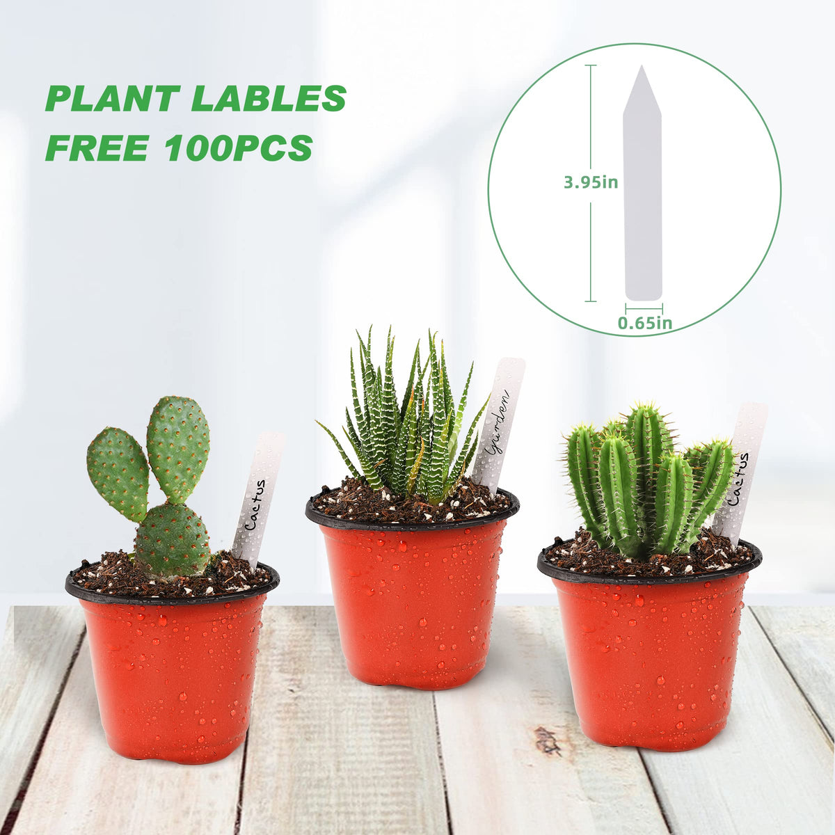 TDHDIKE multi-use pots for indoor and outdoor seed starting