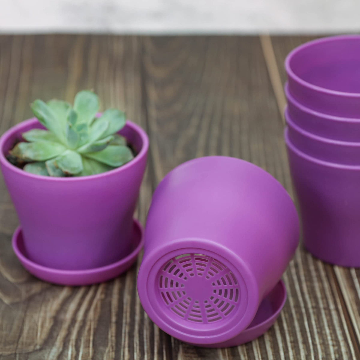 TDHDIKE open-design purple planter facilitates easy transplanting and plant care
