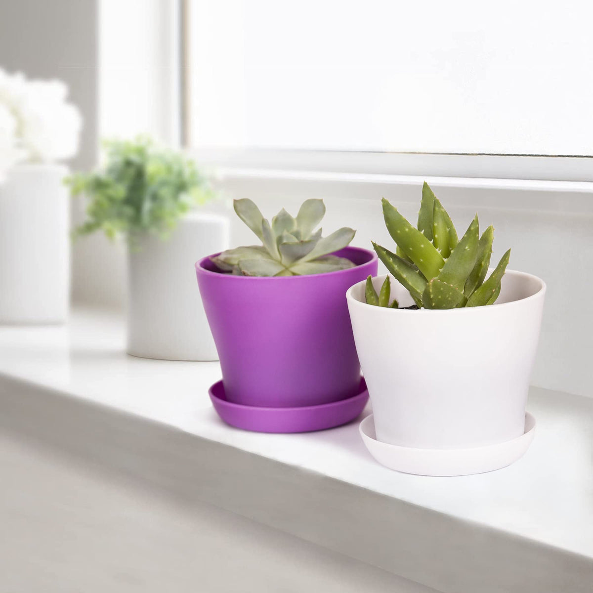 TDHDIKE 10-pack purple small pot set fits small plants and desks