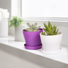 TDHDIKE 10-pack purple small pot set fits small plants and desks