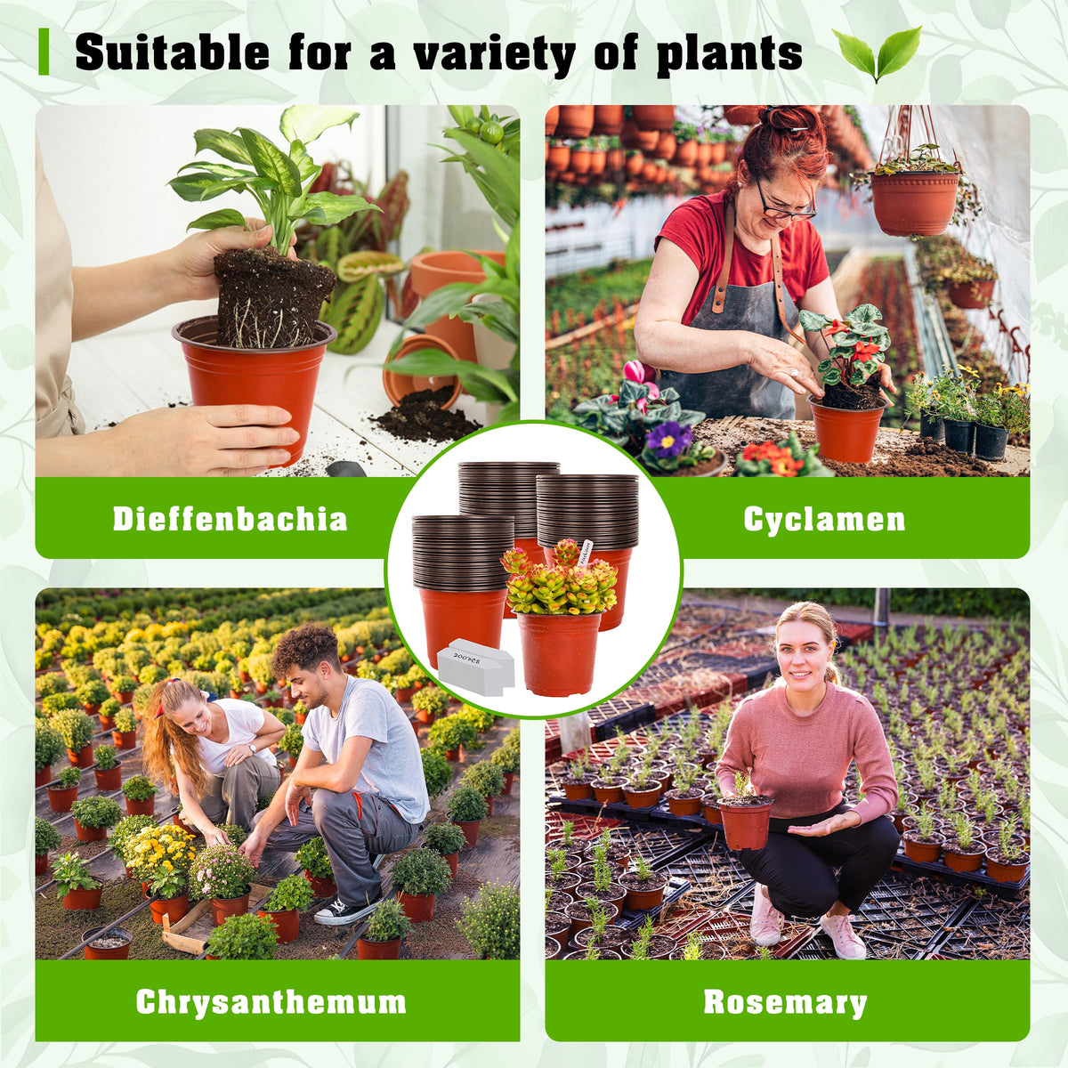 Includes 100 plant labels with TDHDIKE pots for varietal identification.
